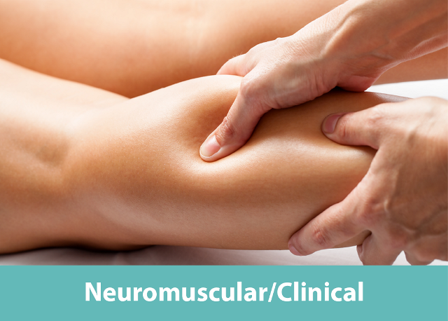 Neuromuscular or Clinical Massage